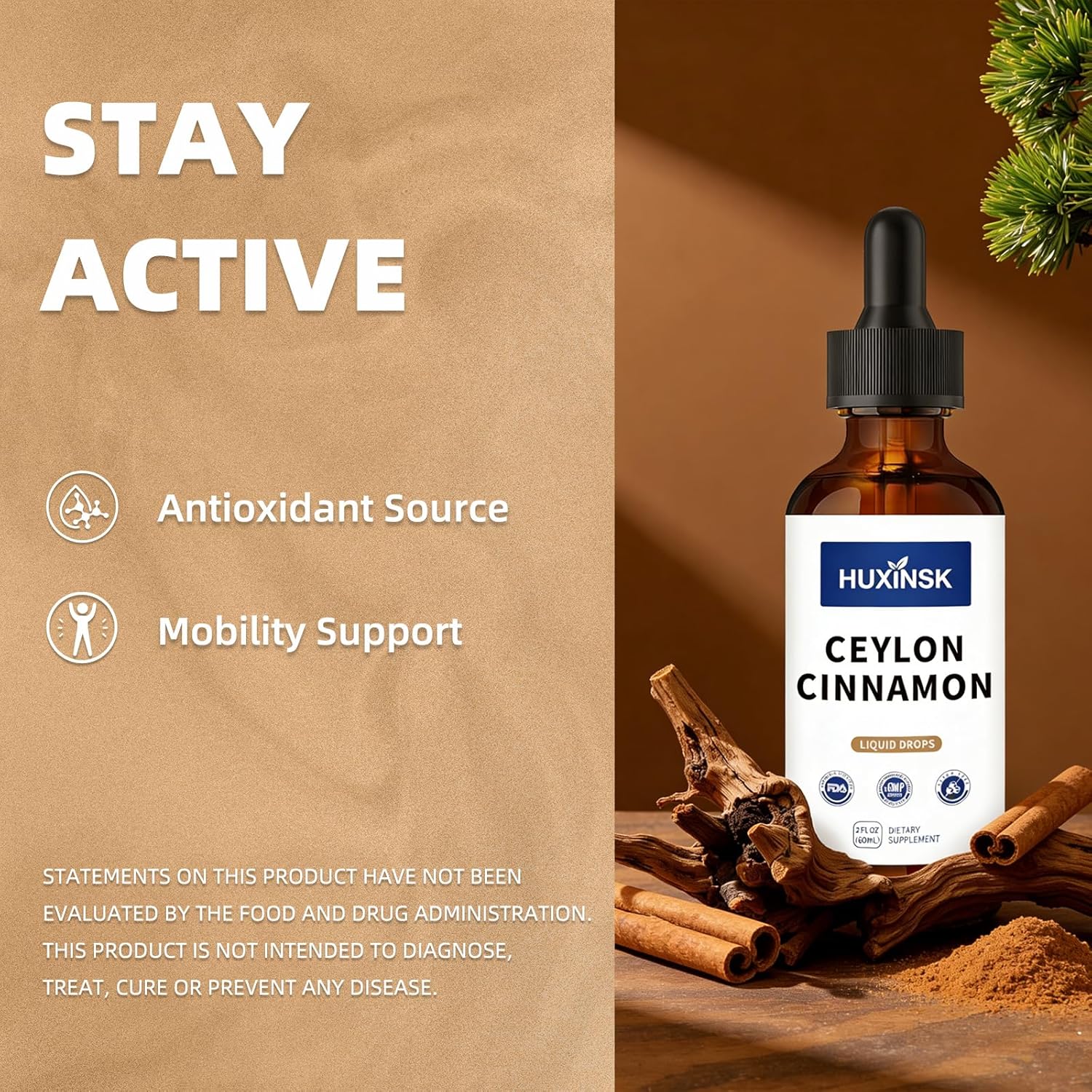 Ceylon Cinnamon Liquid Drops Extract | Pure Cinnamomum Zeylanicum | Supports Healthy Metabolism | Alcohol-Free, 60ml Vegan Tincture